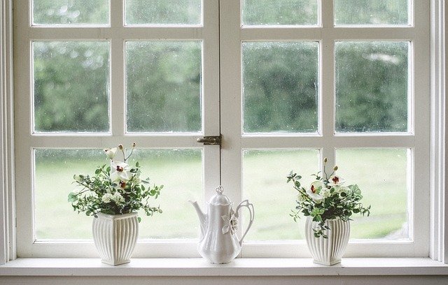 okno s květinami